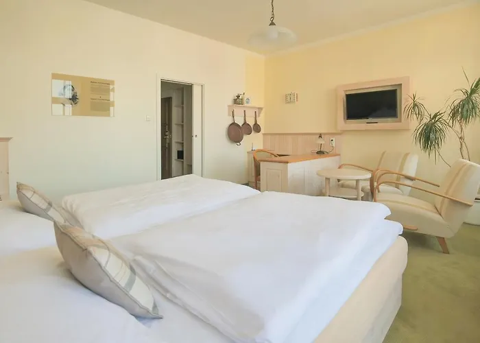 Zlata Hvezda 4* Litomyšl