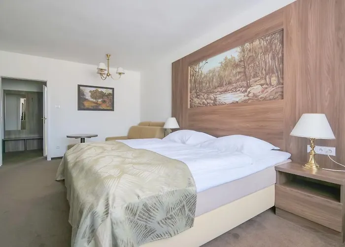 Zlata Hvezda 4* Litomyšl